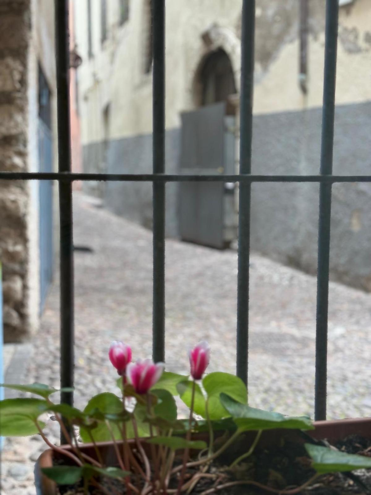 Duomo Nest entire apartment Trento Exterior foto
